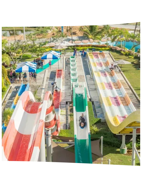 Consulting and Management Services